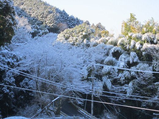 今朝の雪景色_b0132746_2356368.jpg