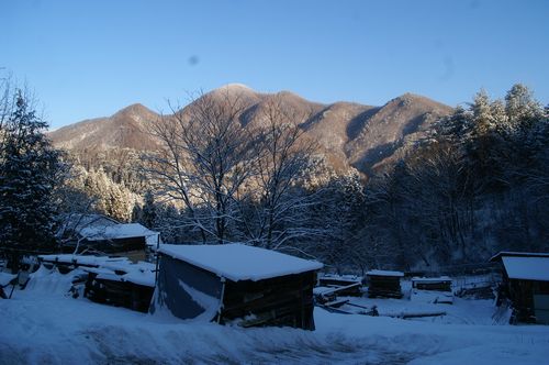 雪　降りました、　ごめんなさい。_f0114346_20372267.jpg