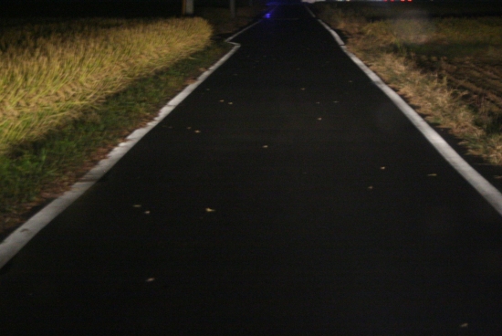 e0126350_146121.jpg
