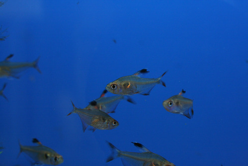 a0162263_2027476.jpg