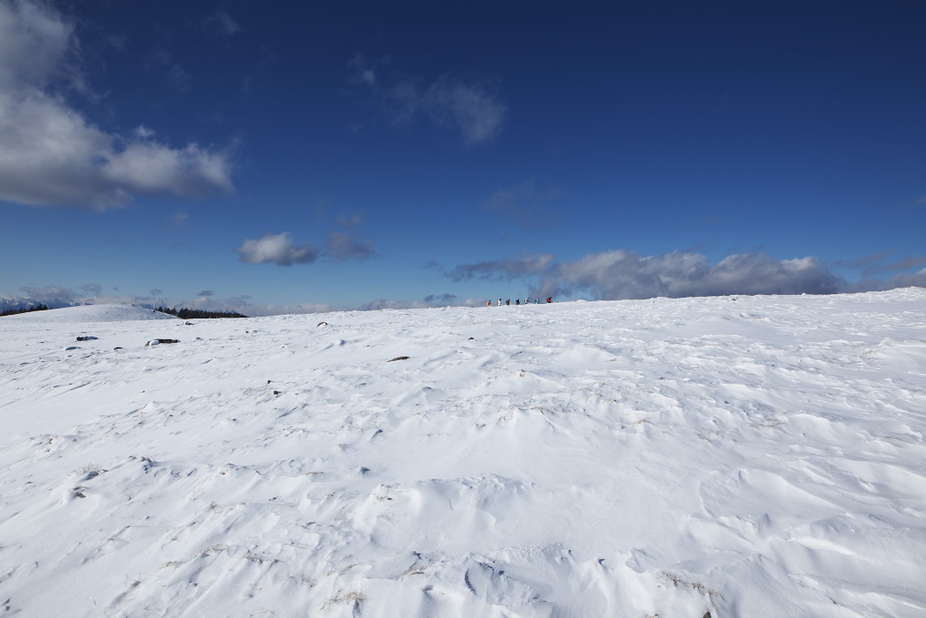 f0171065_2322277.jpg