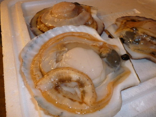 明日からは・・・_e0252966_15163948.jpg