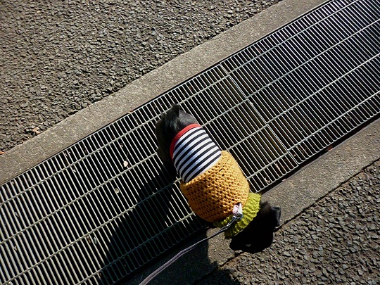 d0105967_12381446.jpg