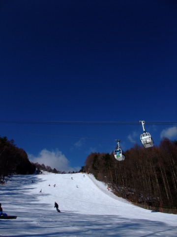 e0045768_2219429.jpg