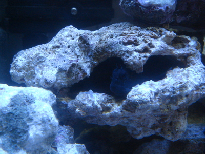 b0022570_1357234.jpg