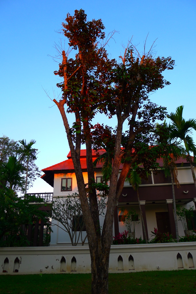 f0178278_646415.jpg