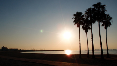 e0024081_99190.jpg