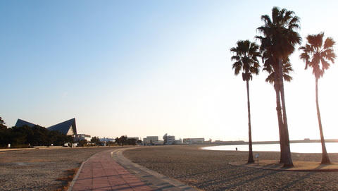 e0024081_993833.jpg