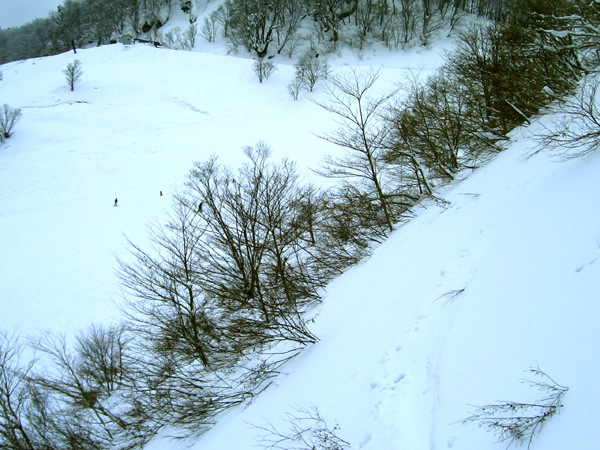 雪景色（但馬）_d0178082_9111220.jpg