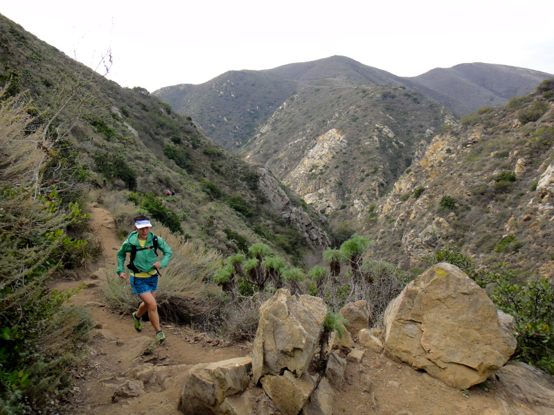 2012/01/15 Los Angels Trip Day.5 La Jolla Trail Running_b0220886_1710023.jpg