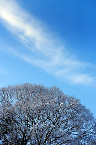 a0202287_22522397.jpg