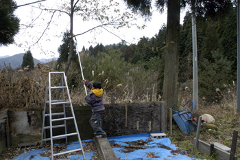 山神様400歳お怒りですか？_f0006704_1713562.jpg