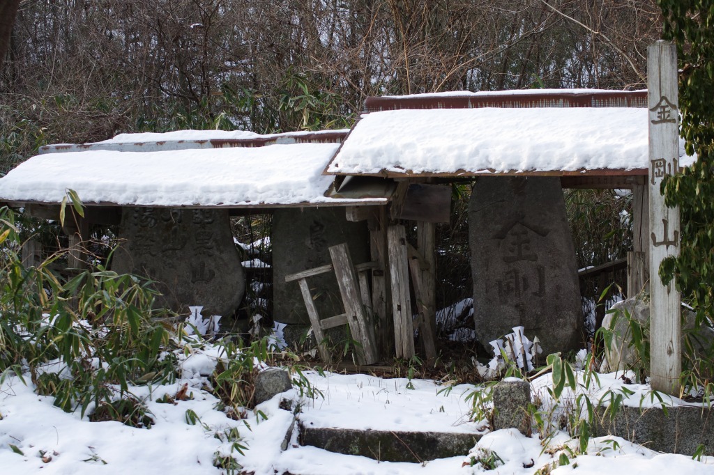 白鳥は居なかった_f0138305_1128499.jpg