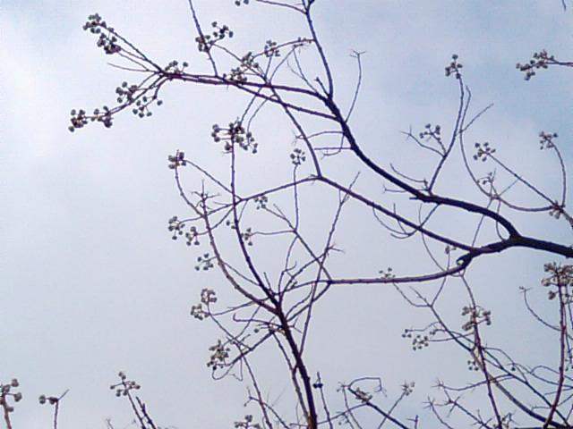 f0231709_75994.jpg