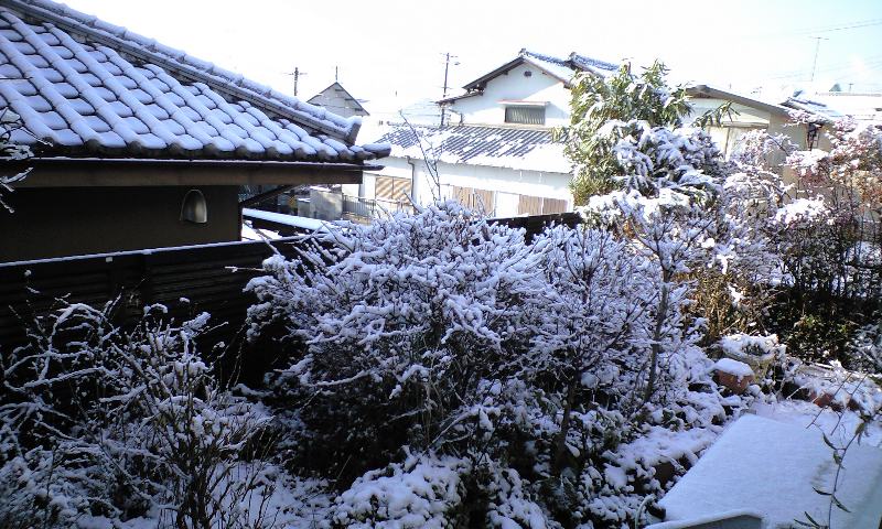 d0227610_2154311.jpg