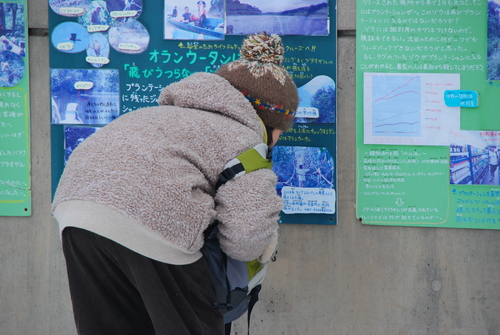 一番見たかったもの。_c0116714_20262737.jpg