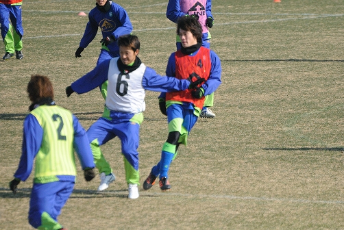 2012湘南ベルマーレ始動_b0000829_7192148.jpg