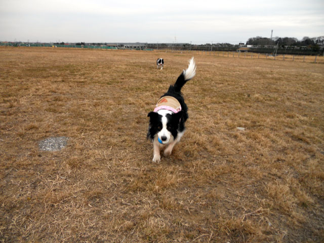 d0059230_8294826.jpg