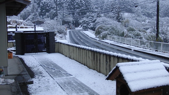 こんなに雪が降ることもあります_a0243432_22321036.jpg