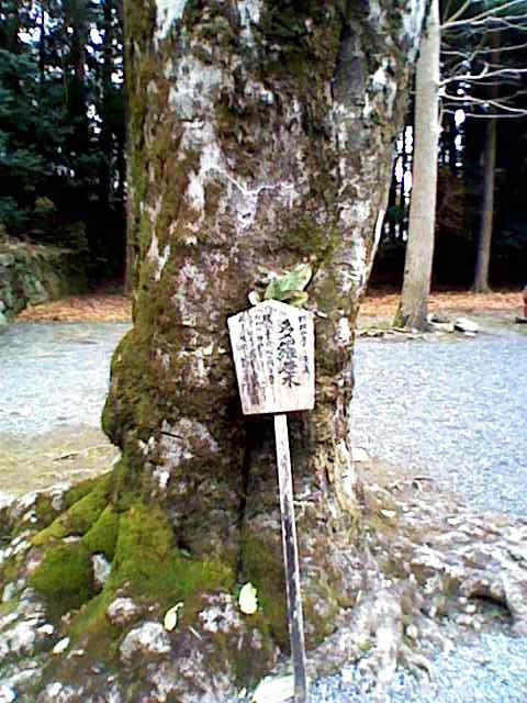 神社のテーマパーク_c0173135_15384840.jpg