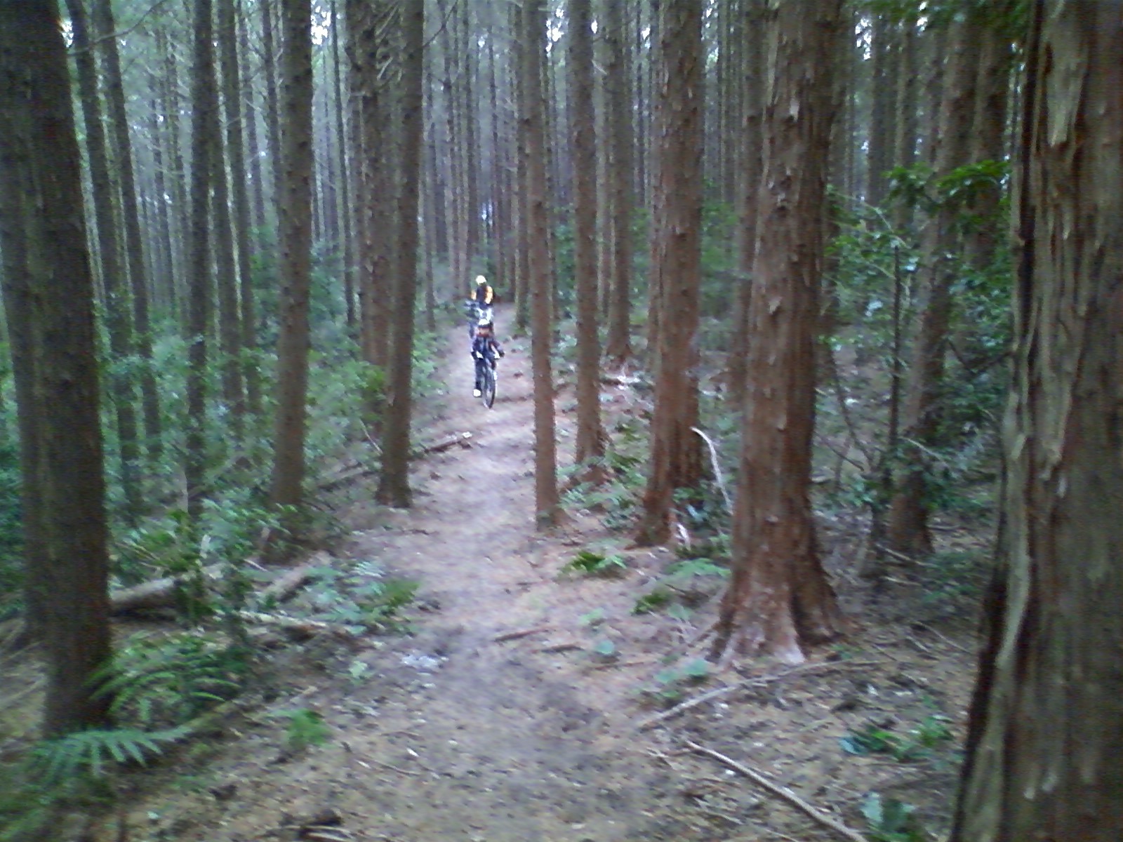 e0138939_2334532.jpg