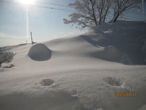 積雪194センチ 岩見沢限界!_f0231042_14115612.jpg