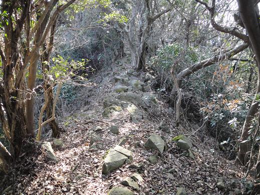 国東の山へ、鷲巣岳・華岳_e0164643_1733046.jpg