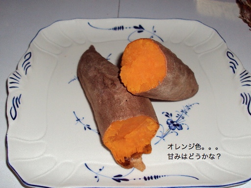 a0204348_3112827.jpg