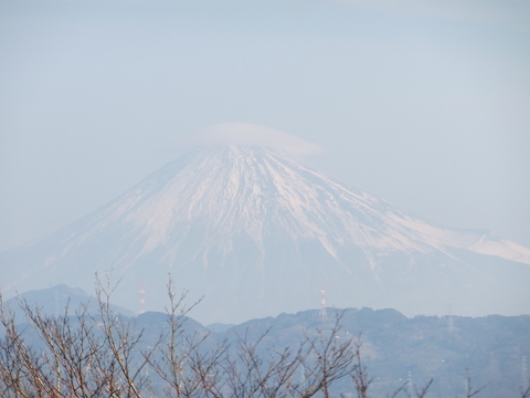 意外といける、ちくわパン_b0177649_2314625.jpg