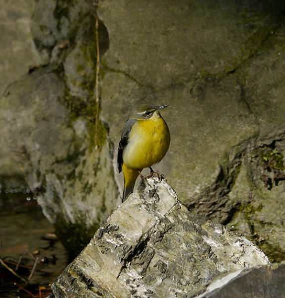 d0091754_1891.jpg