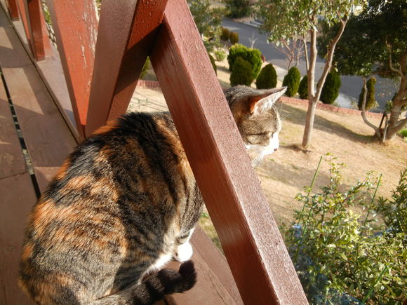 2012年1月18日(水)今日は快晴!_f0060461_9295479.jpg