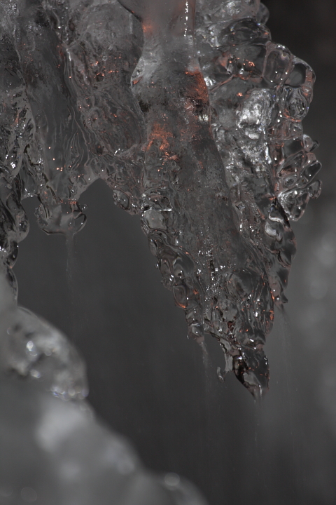 c0213564_30112.jpg