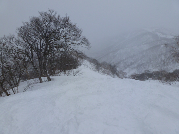 b0164568_8234060.jpg