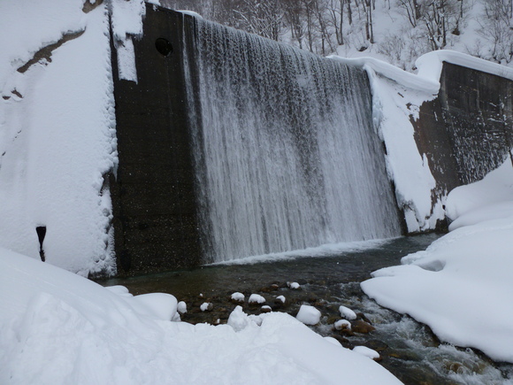 b0164568_8263035.jpg