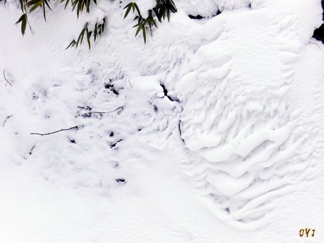 人間では出来ない〝真冬の芸術〟_f0166871_12594858.jpg