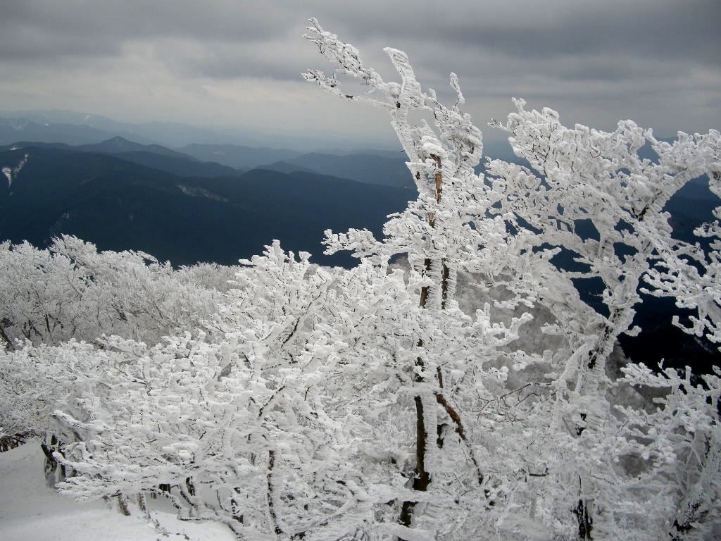 b0185573_22555793.jpg