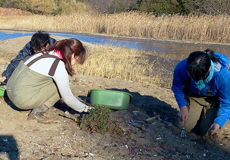 ★ひがた・たんぼ倶楽部の報告（2012.1.7）_e0046474_11481950.jpg