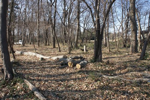 a0010575_23163534.jpg