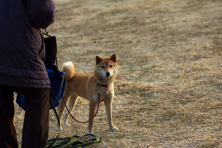 根岸森林公園 続き Neの玉手箱