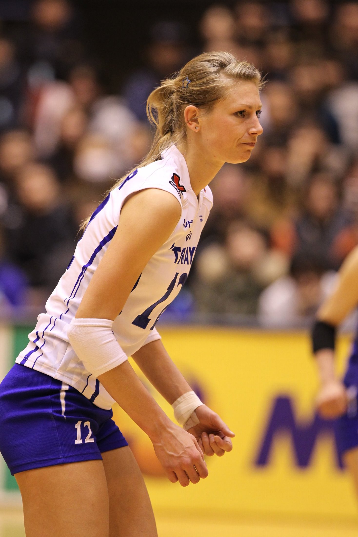 toyota バレー エロ Vプレミアリーグ１１１２ 対トヨタ車体クインシーズ戦 : Yesterday And Today Vol.2