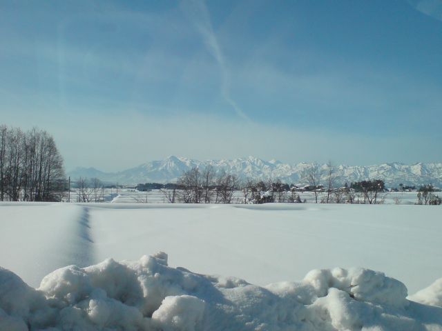 新柳、屋根の雪下ろし。_d0182179_13113597.jpg
