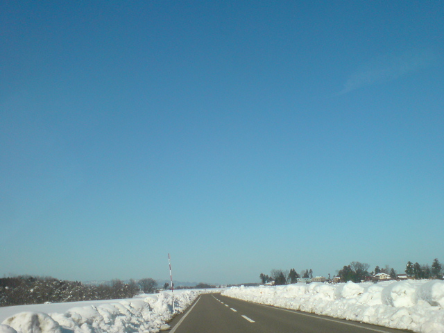 新柳、屋根の雪下ろし。_d0182179_13301982.jpg