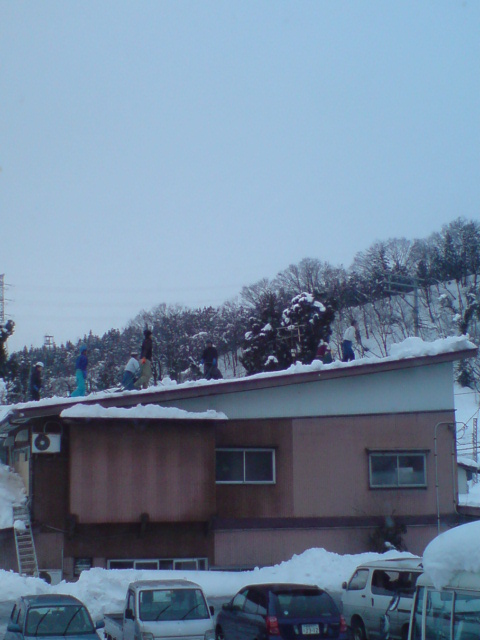 新柳、屋根の雪下ろし。_d0182179_16421981.jpg