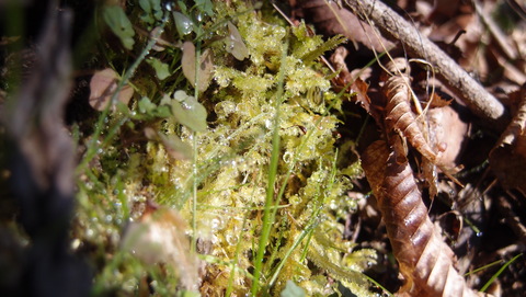 e0024081_18122257.jpg