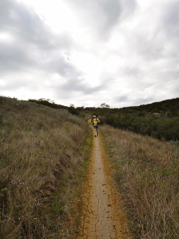 2012/01/15 Los Angels Trip Day.5 La Jolla Trail Running_b0220886_16405440.jpg