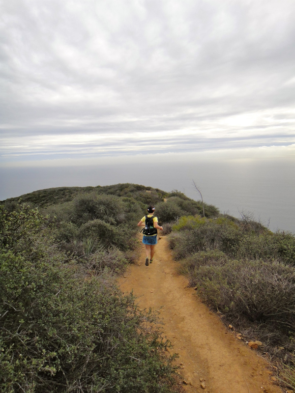 2012/01/15 Los Angels Trip Day.5 La Jolla Trail Running_b0220886_16552766.jpg