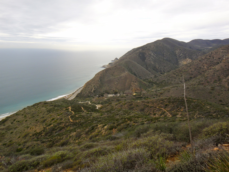 2012/01/15 Los Angels Trip Day.5 La Jolla Trail Running_b0220886_16563925.jpg