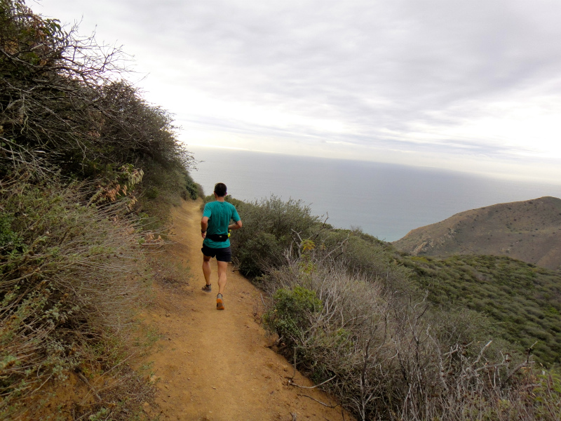 2012/01/15 Los Angels Trip Day.5 La Jolla Trail Running_b0220886_16565912.jpg