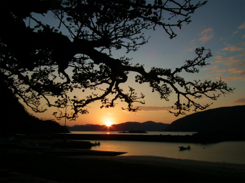 今日の夕景_e0028387_21374122.jpg