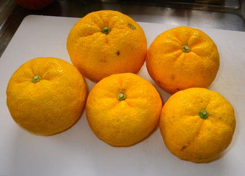 ５個の柚子　皮も種も楽しみがいっぱい♪_a0136293_14365173.jpg